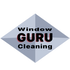 THE WINDOW CLEANING GURU